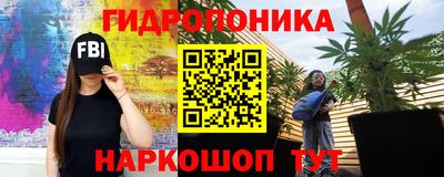 СК Балашиха