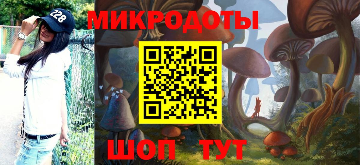 Галлюциногенные грибы Psilocybine cubensis Ачхой-Мартан