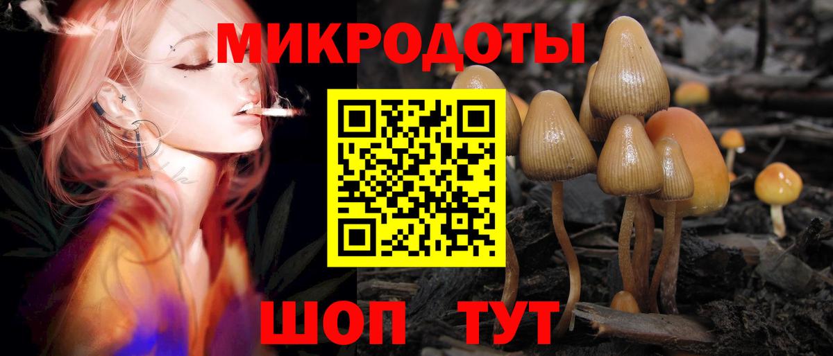 Ачхой-Мартан  Псилоцибиновые грибы Magic Shrooms  даркнет сайт  Вход с VPN 