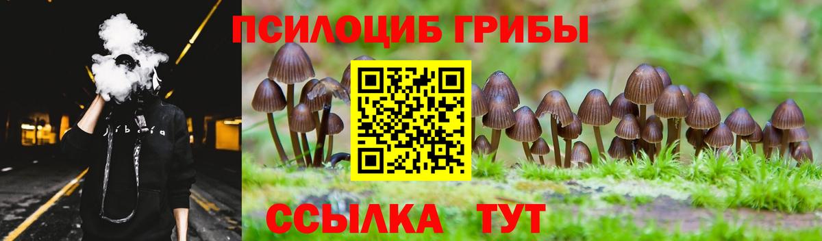 Галлюциногенные грибы Psilocybine cubensis Ачхой-Мартан